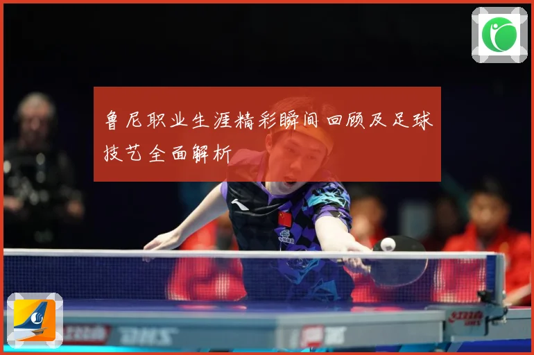 鲁尼职业生涯精彩瞬间回顾及足球技艺全面解析