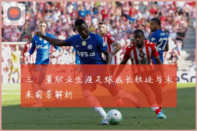 三笘薰职业生涯足球成长轨迹与未来前景解析